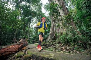 BIB: 
                            <button type="button" onclick="openModal(24809381)" class="btn btn-primary btn-sm float-right btn-popup" data-toggle="modal" data-target=".modal-high-quality">
                        <i class="fas fa-shopping-cart"></i> Add to Cart
                    </button>
                                            <button type="button" onclick="isThisMe(24809381, true)" class="btn btn-success btn-sm float-right btn-popup btn-isme hidden" data-toggle="tooltip" data-placement="bottom" title="นี่คือรูปของคุณใช่ไหม คลิกที่นี่เพื่อเอาเข้าอัลบั้ม">
                        <i class="fas fa-plus"></i> Add to album
                    </button>
                    <button type="button" onclick="isThisMe(24809381, false)" class="btn btn-warning btn-sm float-right btn-popup btn-isnotme hidden">
                        <i class="fas fa-ban"></i> Remove from album
                    </button>